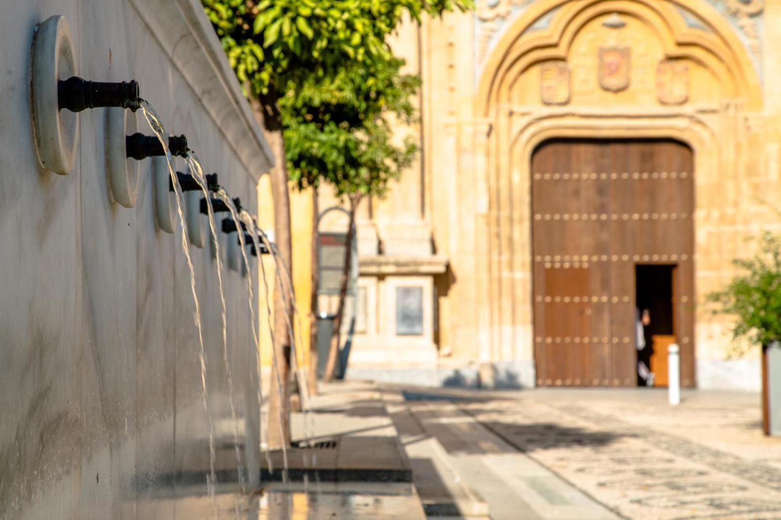 Los Patios De San Lorenzo Con Parking Córdoba Eksteriør billede